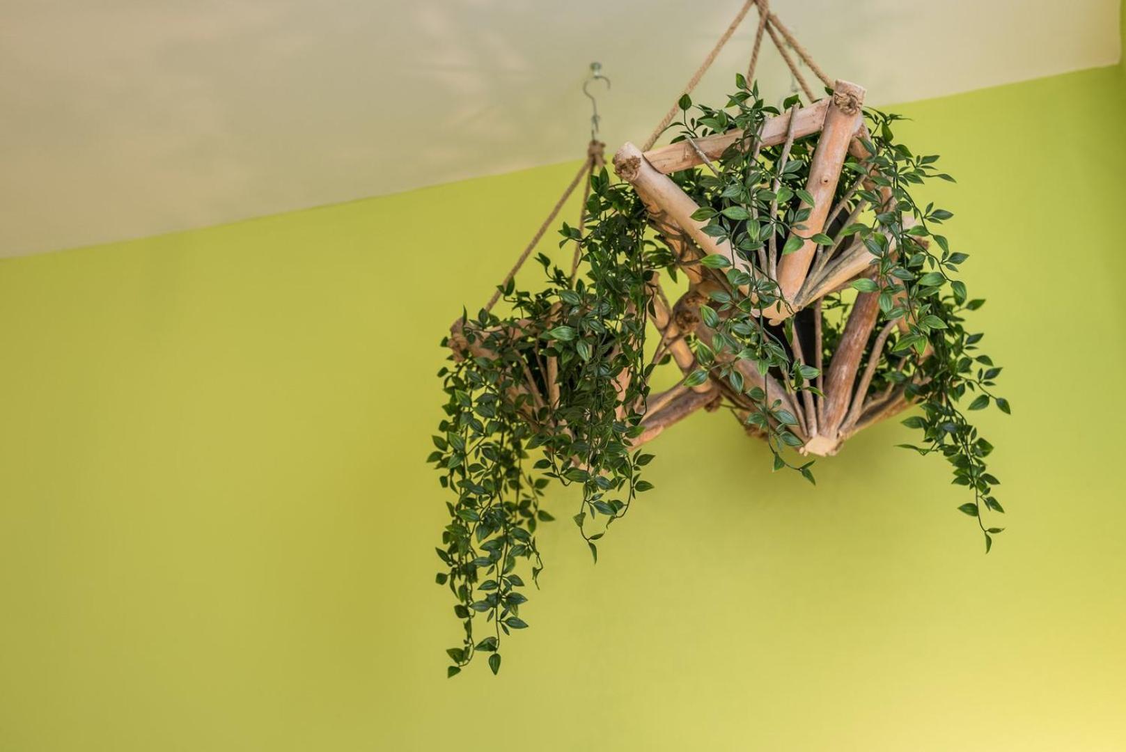 Guestready - Miragaia Green Porto Eksteriør billede