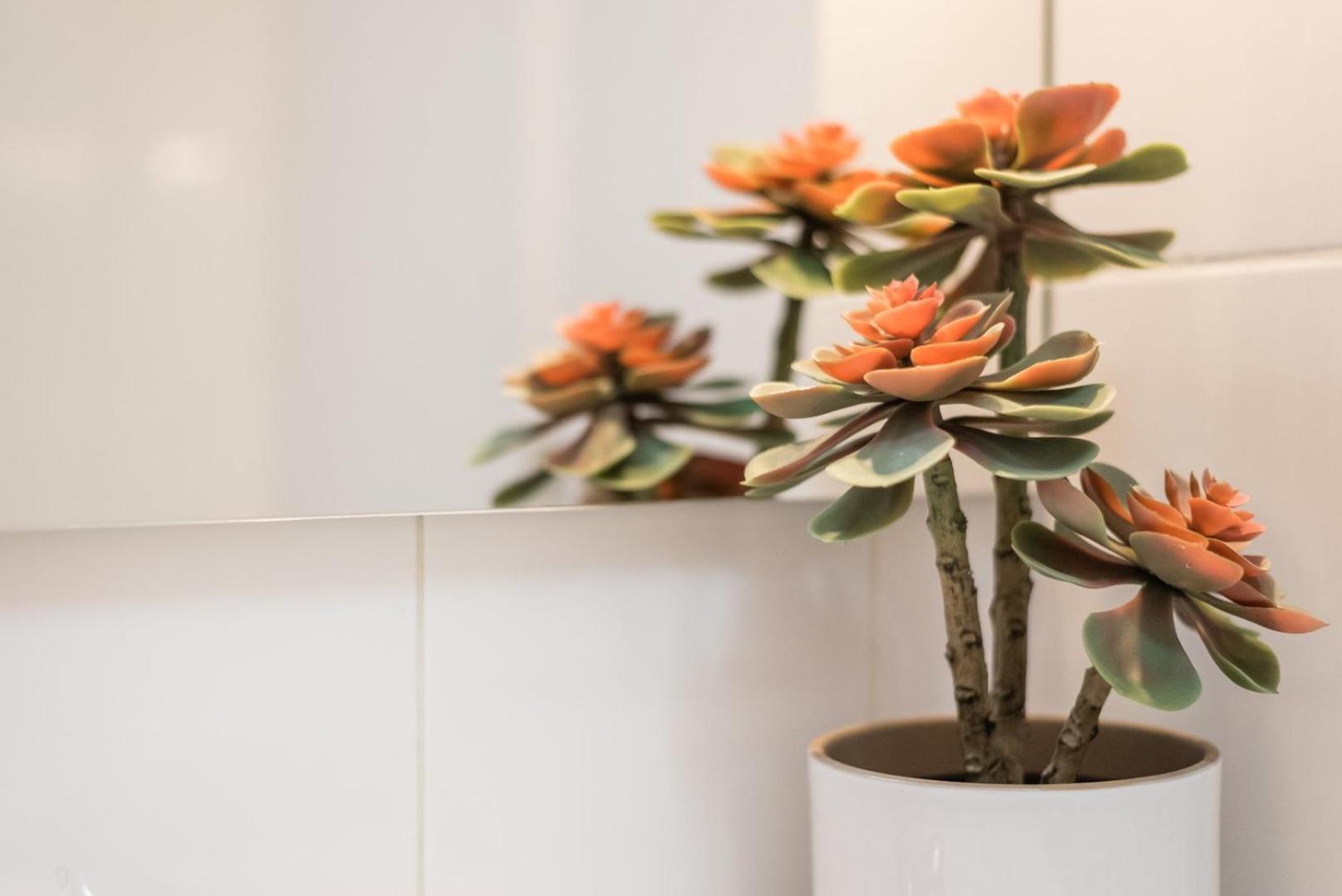 Guestready - Miragaia Green Porto Eksteriør billede